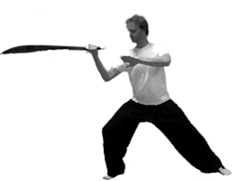 Chen tai chi pose: Sabre block